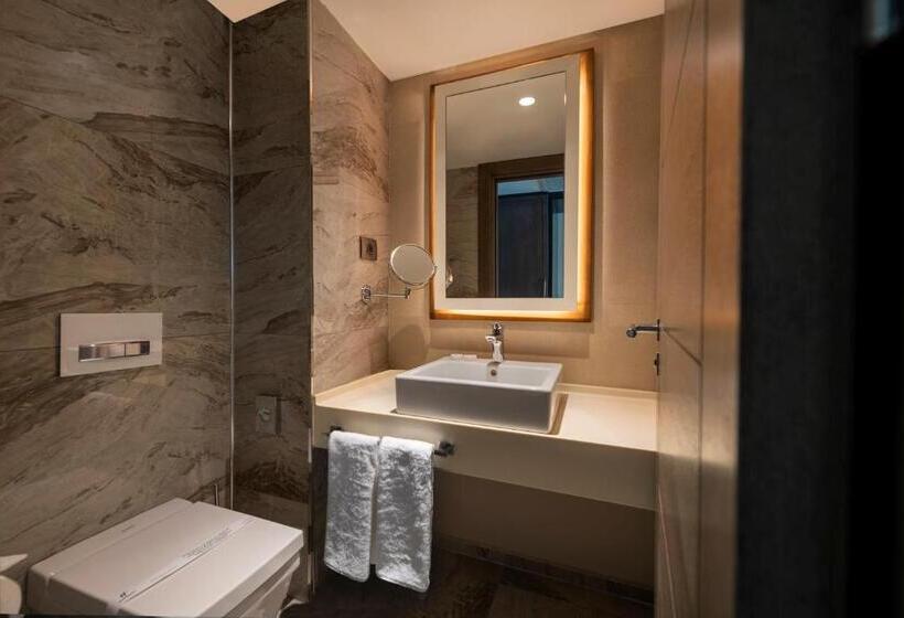 行政套房, Holiday Inn Kayseri   Duvenonu, An Ihg