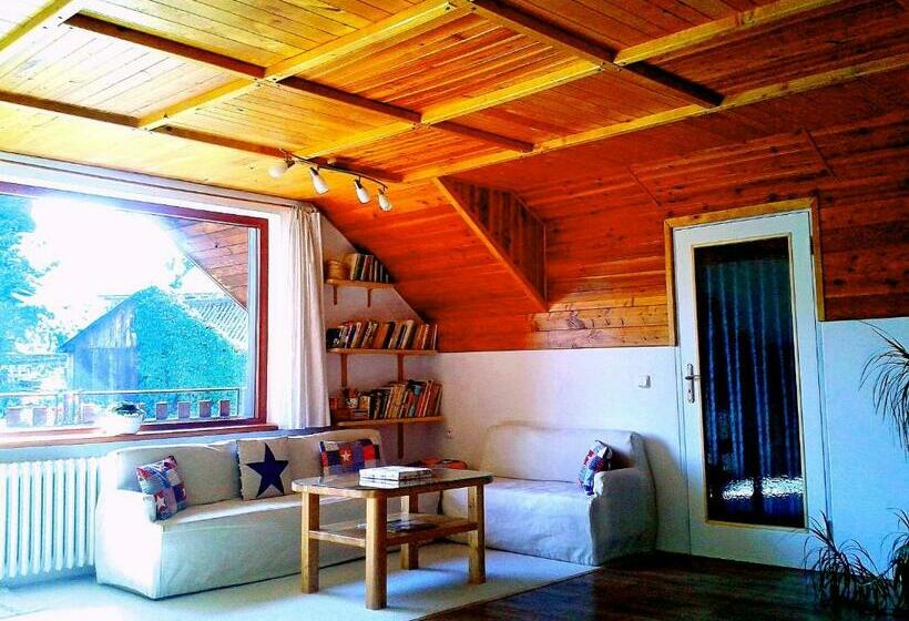 Апартаменты 1 Спальня, Penzion Bor