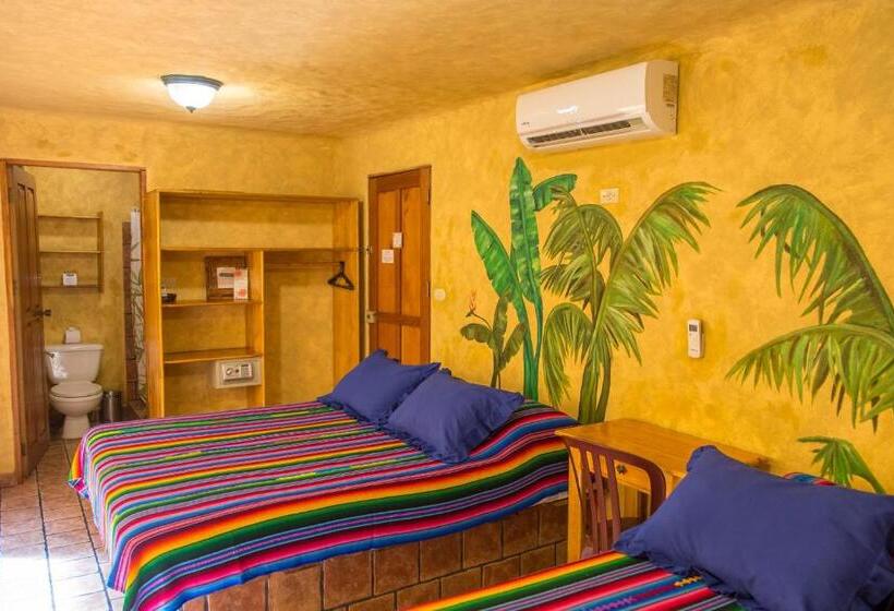4인용 스탠다드 룸, El Sano Banano Beachside