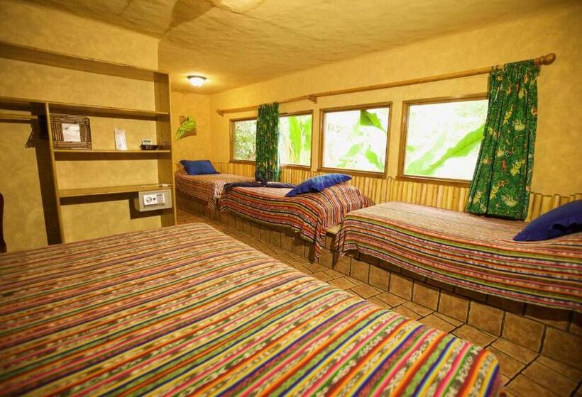 Pokój Rodzinny, El Sano Banano Beachside