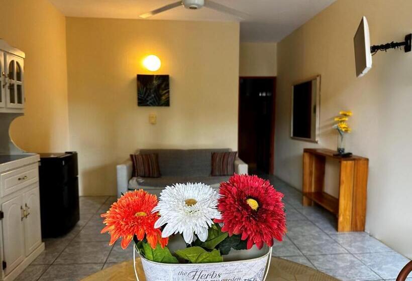 شقة غرفة واحدة, Nany
