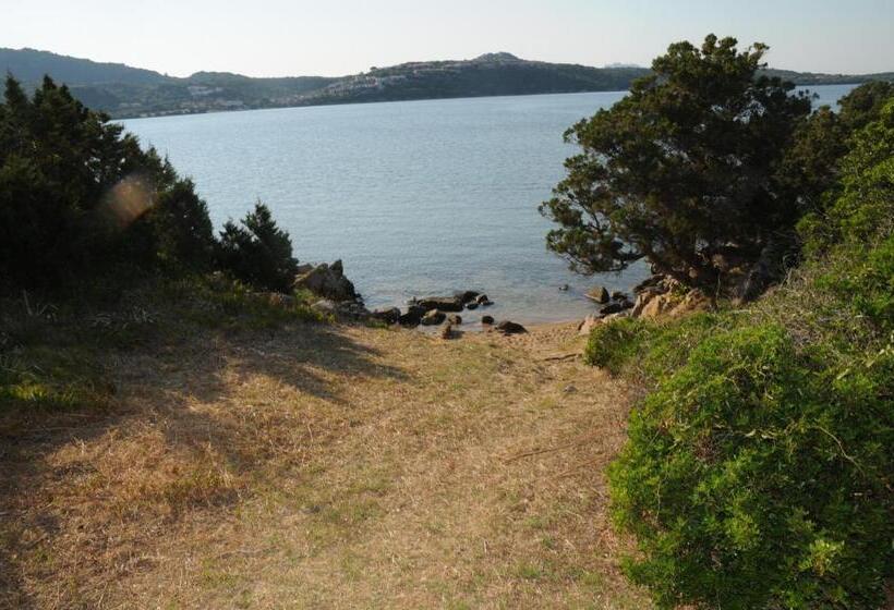 Студия Стандарт, Il Borgo Di Punta Marana