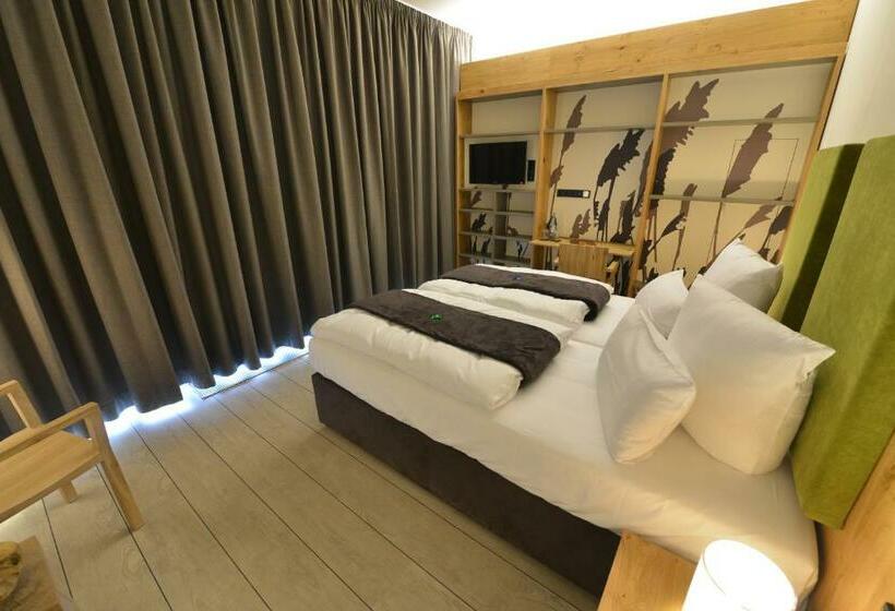 Номер Стандарт с Террасой, Panorama Hotel Aschberg