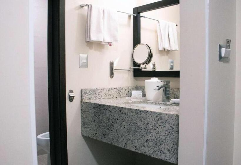 سوئیت با تخت بزرگ, Best Western Plus Chihuahua Juventud