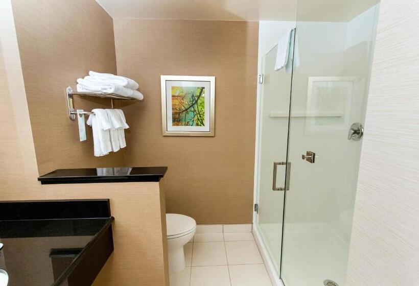 Номер Стандарт, Fairfield Inn & Suites By Marriott Richmond Midlothian