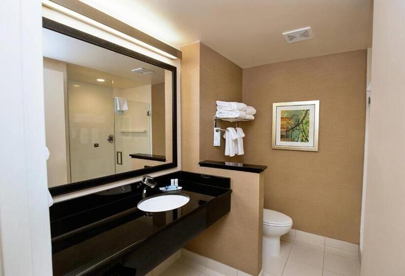 Номер Стандарт Кровать Кинг Адаптированный для Инвалидов, Fairfield Inn & Suites By Marriott Richmond Midlothian