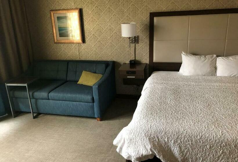 Номер Стандарт Кровать Кинг Адаптированный для Инвалидов, Hampton Inn & Suites Tampa Busch Gardens Area