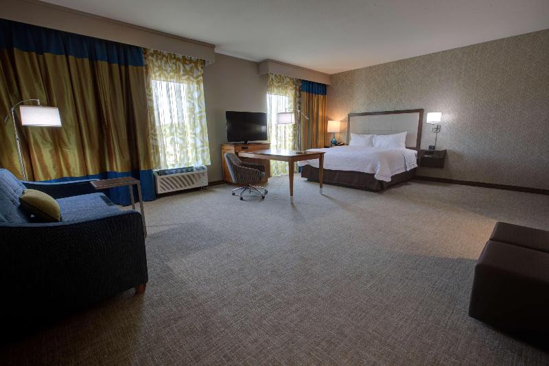 Стандартный Номер Кровать Кинг, Hampton Inn & Suites Tampa Busch Gardens Area