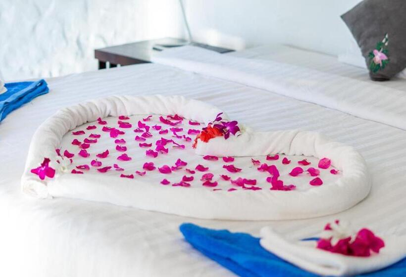 بانگلوی استاندارد, Lazy Day The Resort