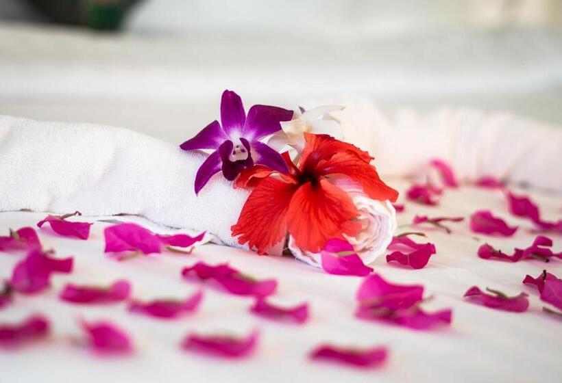 بانگلوی استاندارد, Lazy Day The Resort