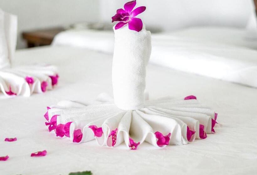 بانگلوی استاندارد, Lazy Day The Resort