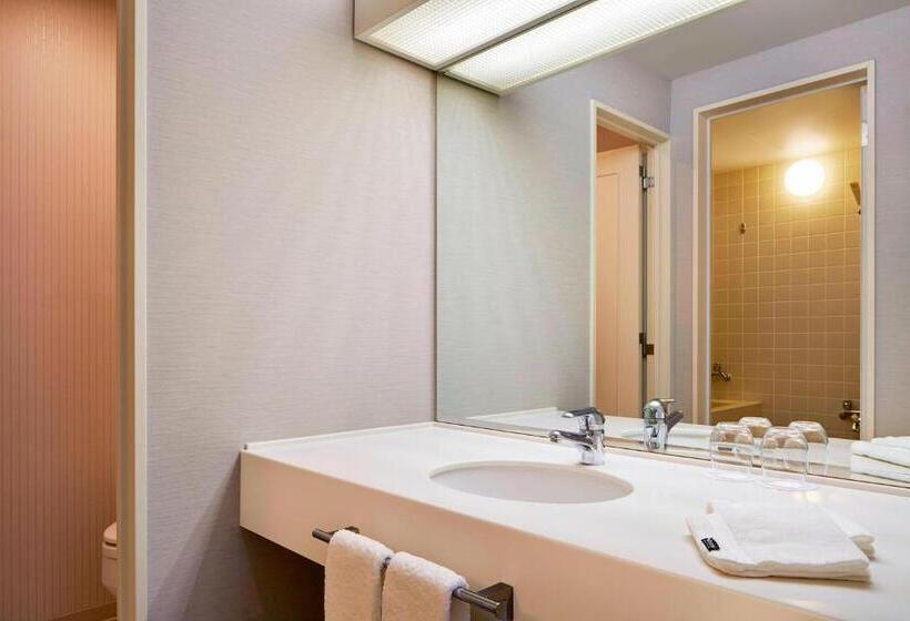 带1个卧室的豪华公寓, The Westin Rusutsu Resort