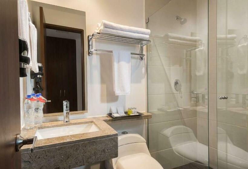 带大床的豪华间, Best Western Plus Santa Marta