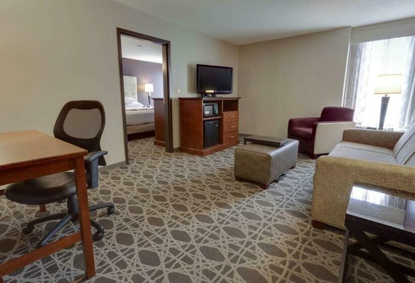 سوئیت با تخت بزرگ, Drury Inn & Suites Overland Park
