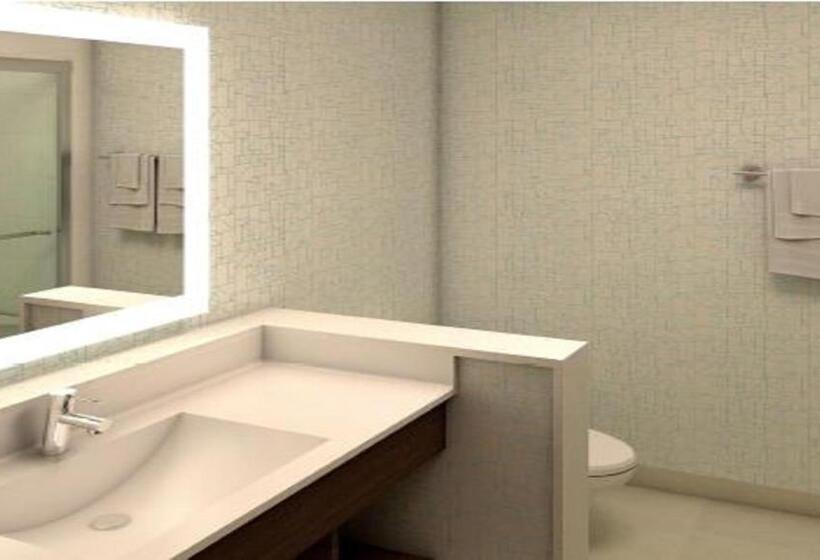 Люкс Адаптированный для Инвалидов, Holiday Inn Express Fullerton Anaheim, An Ihg
