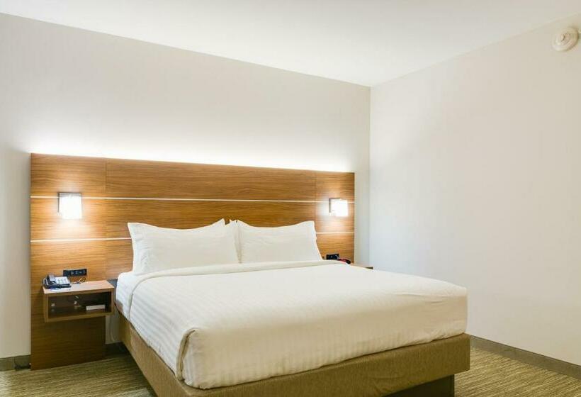 Номер Стандарт Кровать Кинг Адаптированный для Инвалидов, Holiday Inn Express & Suites Russellville, An Ihg