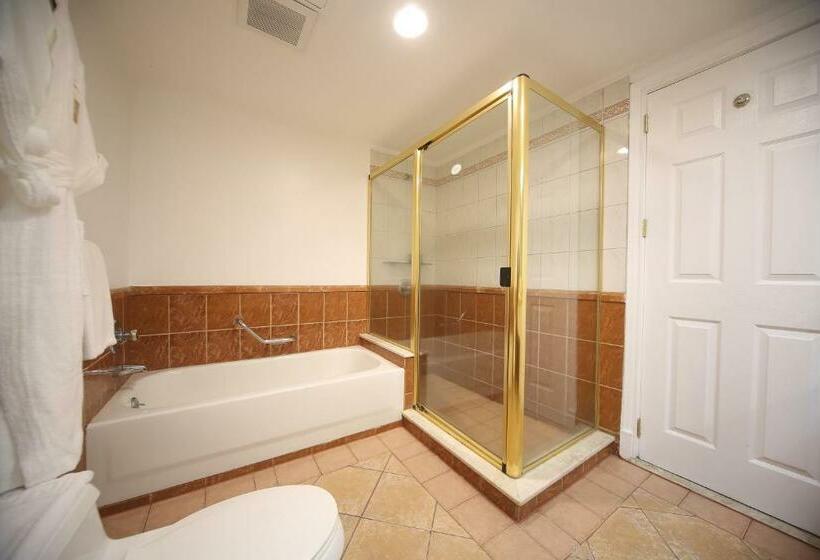 Escritório Estándar, Infinity Tower Suites