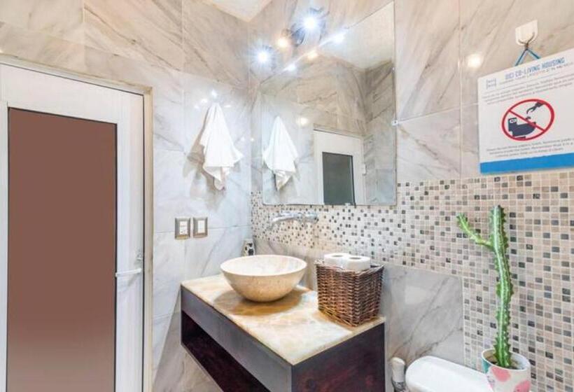 تختخواب در اتاق مشترک, Dici Coliving Housing