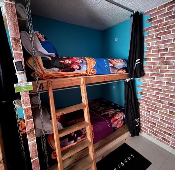 تختخواب در اتاق مشترک, Dici Coliving Housing