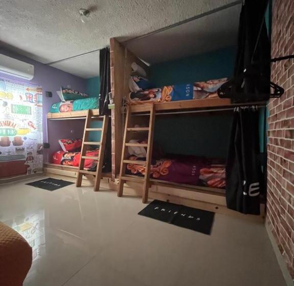 تختخواب در اتاق مشترک, Dici Coliving Housing