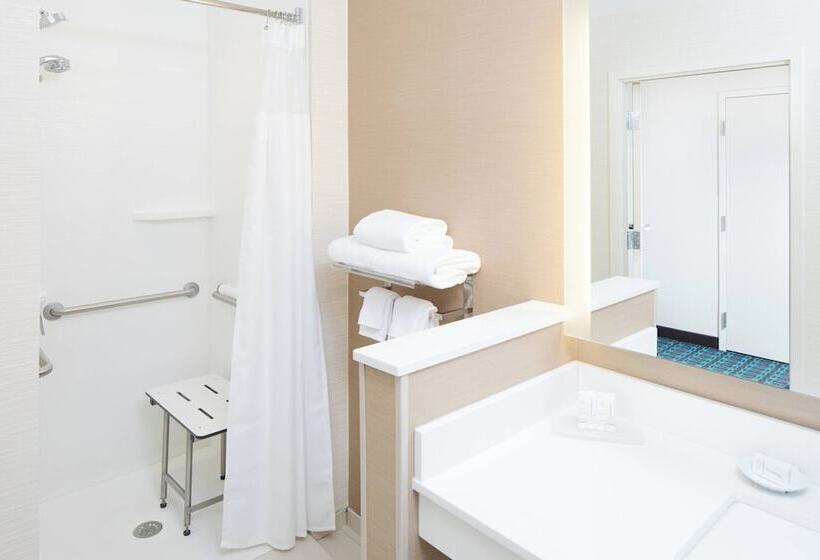 Люкс Адаптированный для Инвалидов, Fairfield Inn & Suites By Marriott Savannah Downtown Historic District