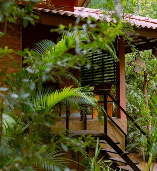 Трехместный Номер Deluxe, Safari Lodge Yala