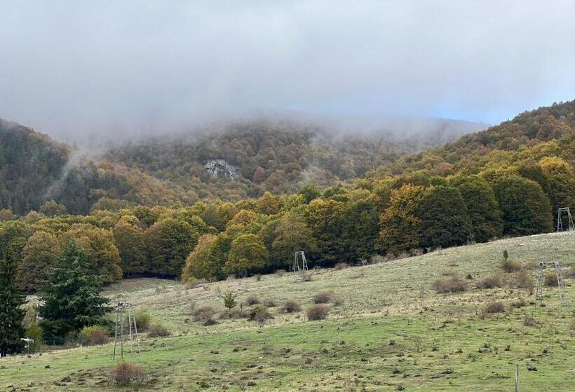 标准间带山景, Bed 100s