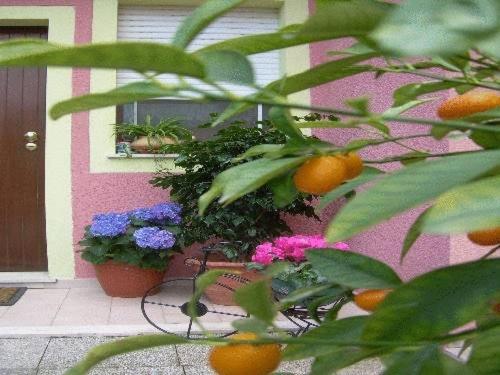 Номер Стандарт, Ariedo Bed And Breakfast