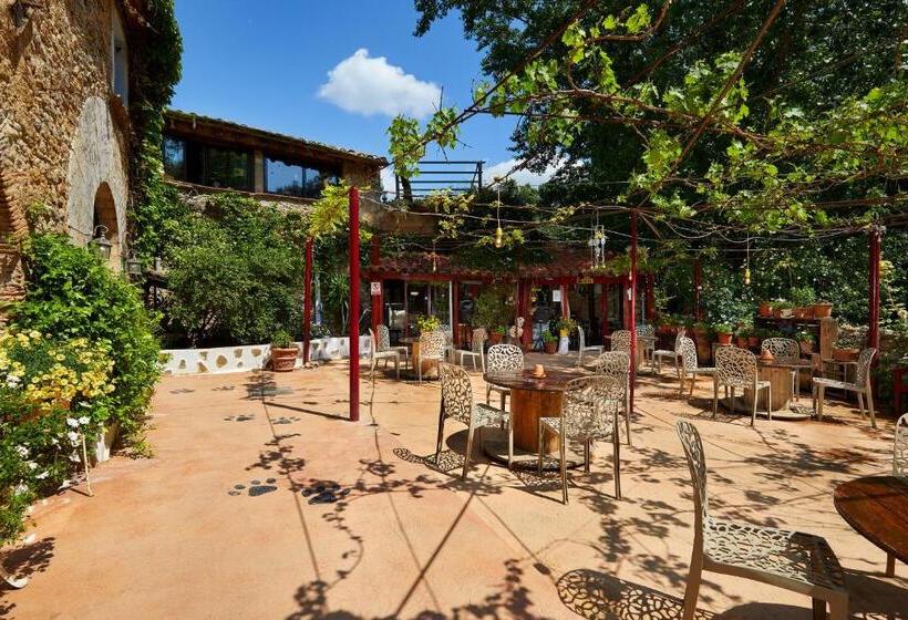 اتاق استاندارد, B&b Mas Torrencito Pet Friendly