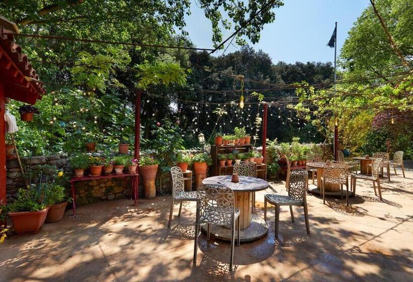 Standard Triple Room with Terrace, B&b Mas Torrencito Pet Friendly
