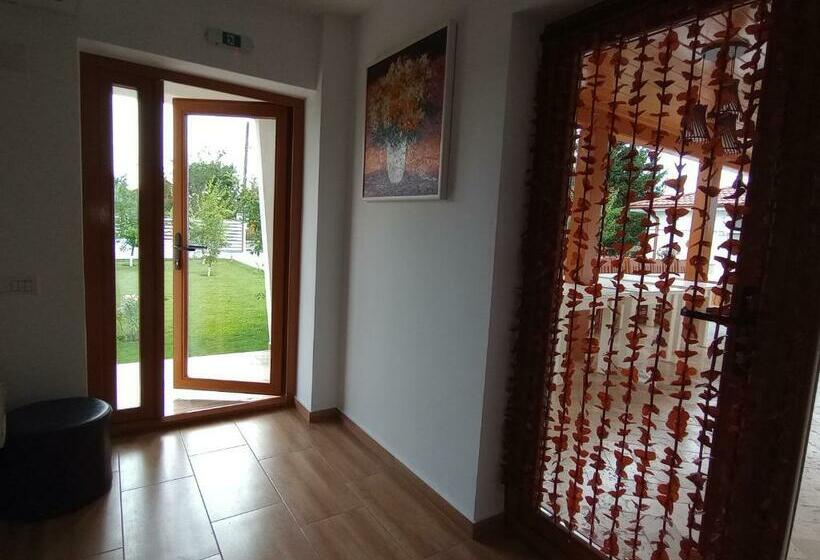 اتاق استاندارد, Pestele Ca Odinioară