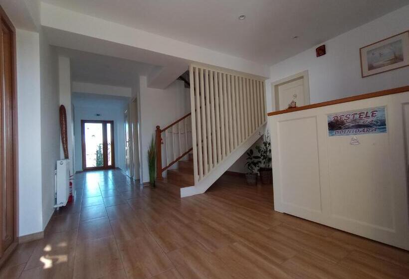 اتاق استاندارد, Pestele Ca Odinioară