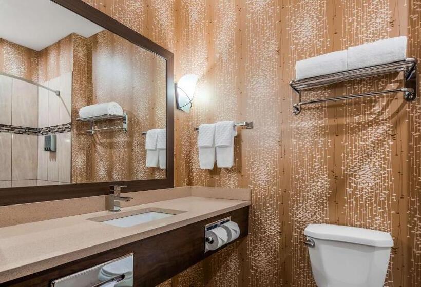 Quarto Deluxe Cama King, Best Western Plus Kindersley