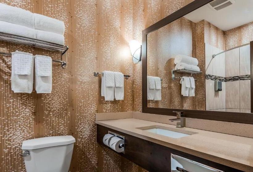 Номер Deluxe Адаптированный для Инвалидов, Best Western Plus Kindersley