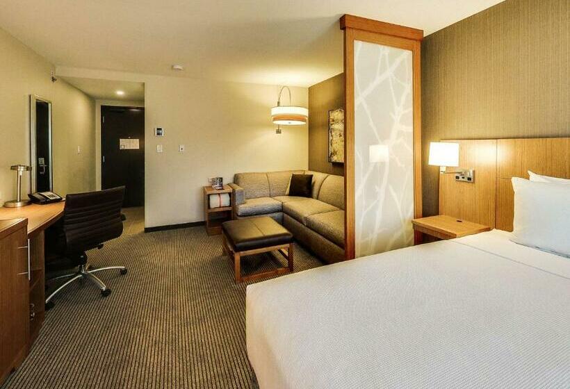 キングサイズベッドのスタンダードルーム, Hyatt Place Edmonton West
