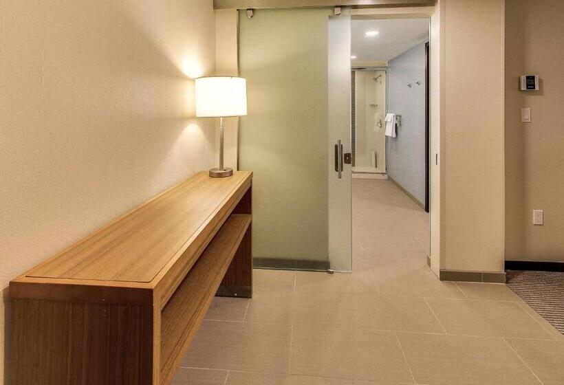 キングサイズベッドのスイートルーム, Hyatt Place Edmonton West
