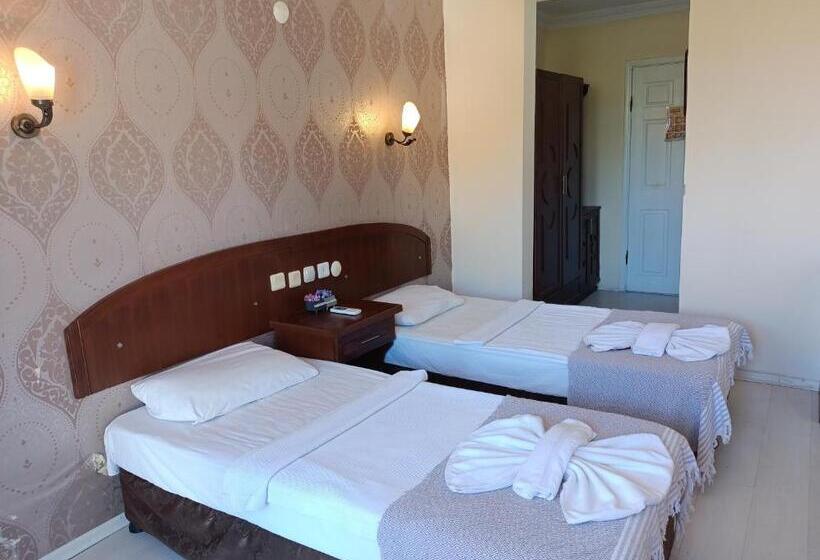 غرفة قياسية مزوَّدة بشُرفة, Grand çınar Hotel Fethiye