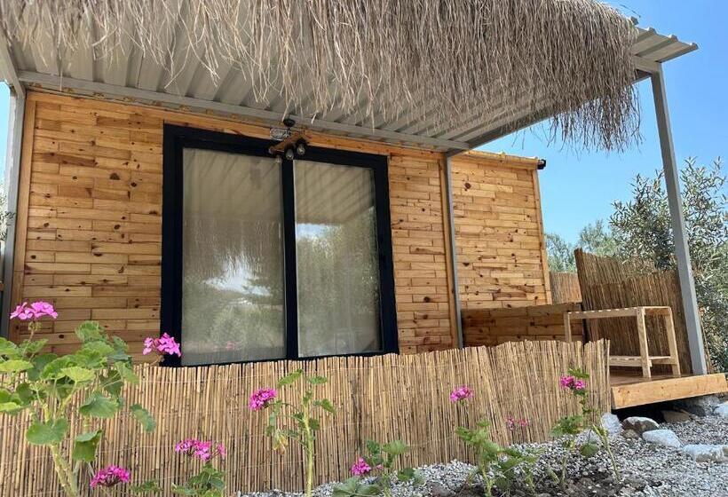 اتاق استاندارد اینتریور, Alpinia Houses&garden