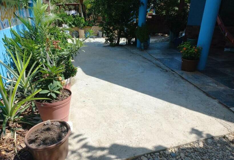 اتاق استاندارد, La Casa Del Sueño