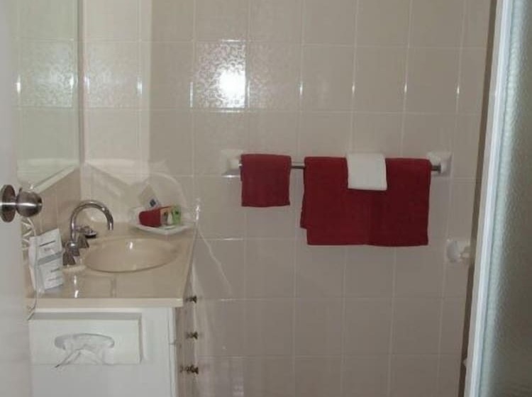Номер Deluxe, Town And Country Motor Inn