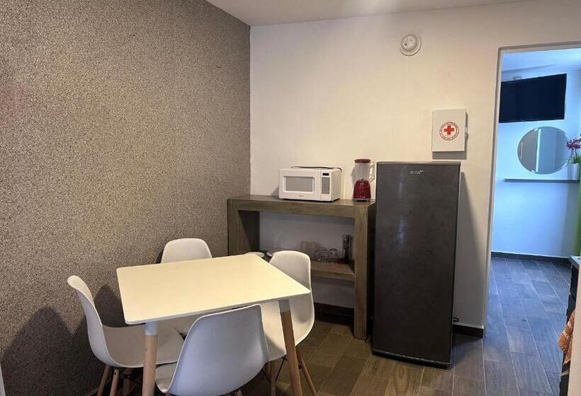 １ベッドルームのスーペリアアパートメント, Suites Apodaca