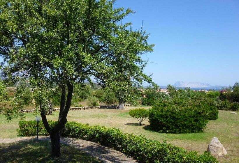آپارتمان 1 خوابه همکف, Le Villette Di Miriacheddu