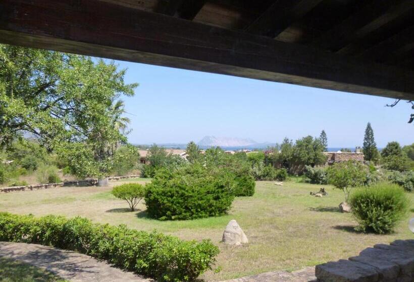 آپارتمان 1 خوابه همکف, Le Villette Di Miriacheddu