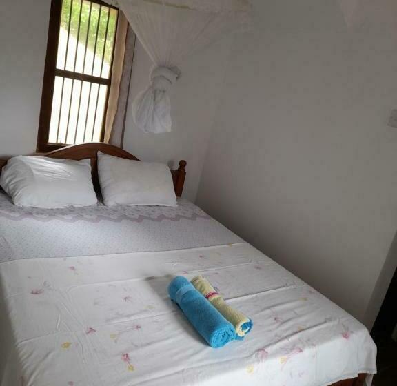Quarto Basic, Shoba Traveller S Tree