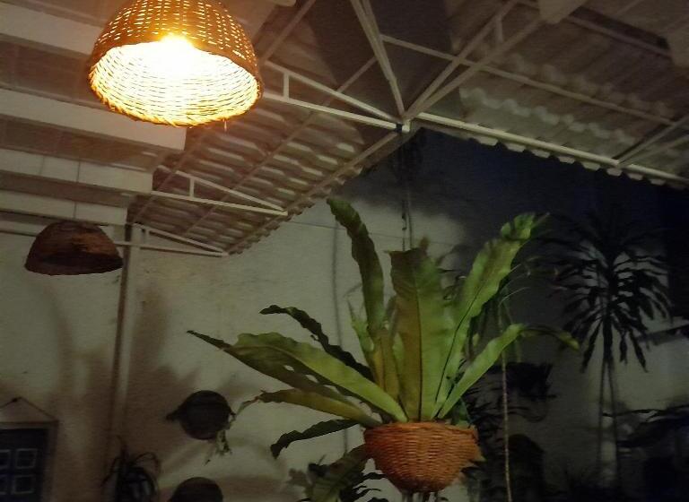 Quarto Triplo Estandar, Shoba Traveller S Tree