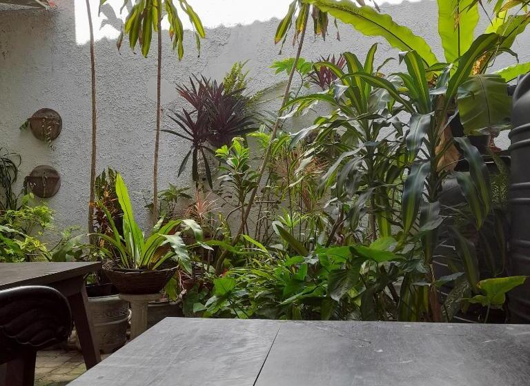 Quarto Estandar, Shoba Traveller S Tree