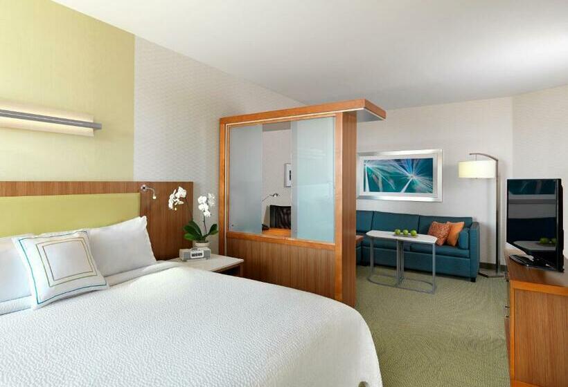 キングサイズベッドのスイートルーム, Springhill Suites By Marriott Charleston Mount Pleasant