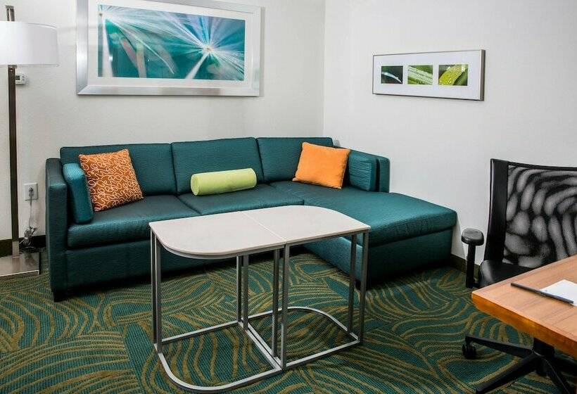 Люкс, Springhill Suites By Marriott Charleston Mount Pleasant