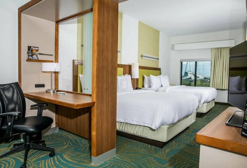 Люкс, Springhill Suites By Marriott Charleston Mount Pleasant