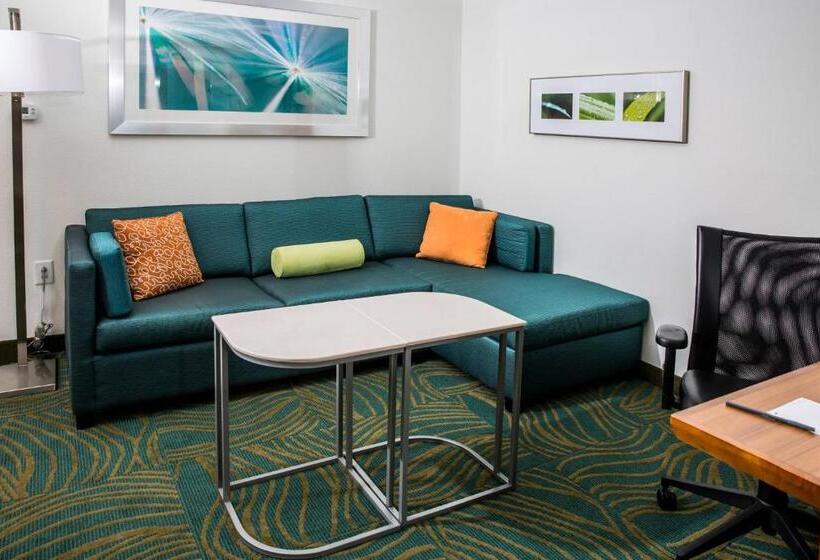 クイーンサイズベッドのスイートルーム, Springhill Suites By Marriott Charleston Mount Pleasant